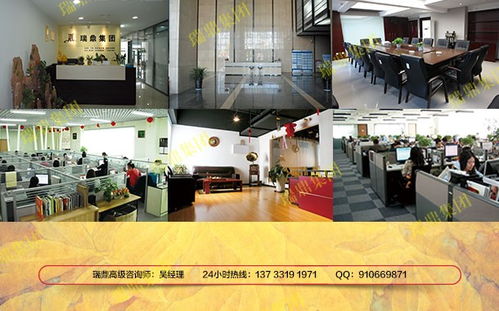 湛河实施方案 赋能电子商务信息咨询，引领智慧发展新航向