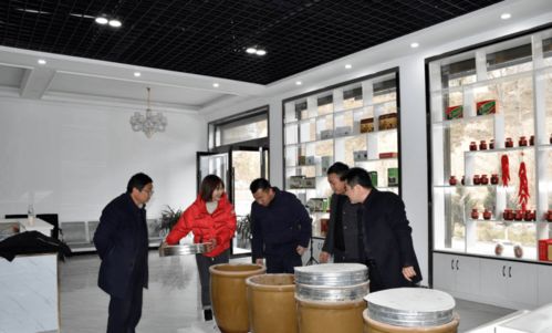 文县电商中心负责人深入桥头、天池两镇调研，共探电子商务发展新路径